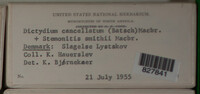 Image Associated With the Occurence